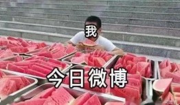 每日大赛 每日吃瓜,揭秘娱乐圈幕后故事