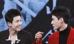 娱乐圈双男主,双男主携手演绎娱乐圈的璀璨传奇